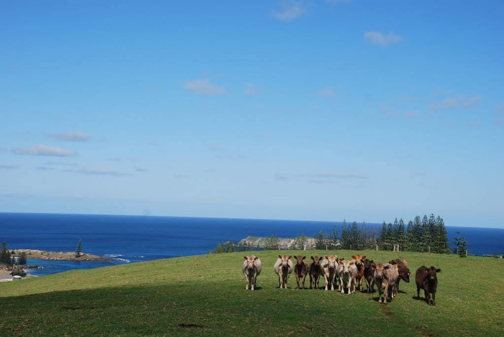 Coast Norfolk Island Apartment Burnt Pine Exterior foto